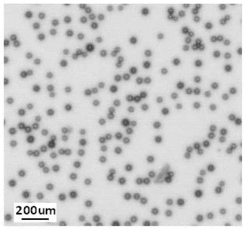 Grain size controllable monodisperse polyvinyl alcohol gel microsphere, preparation method thereof and applied device