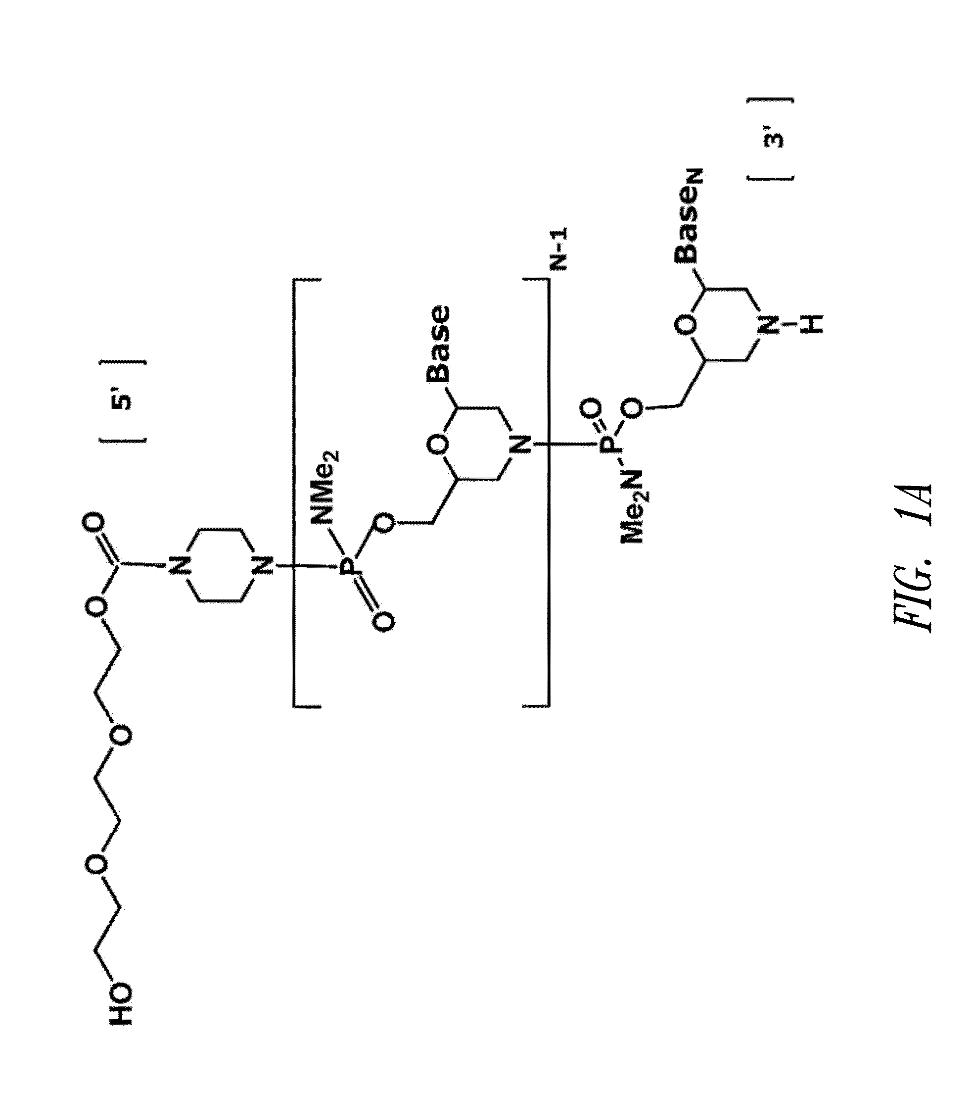 Antisense antiviral compound and method for treating influenza viral infection