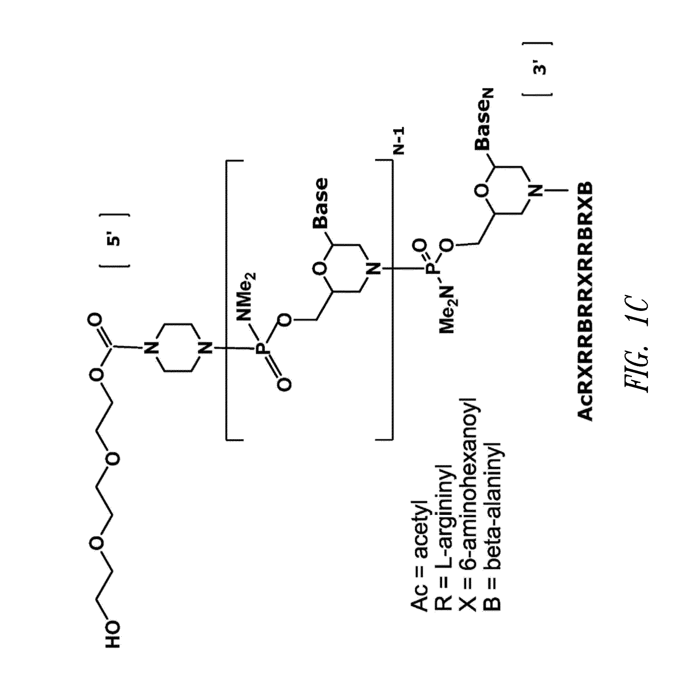 Antisense antiviral compound and method for treating influenza viral infection