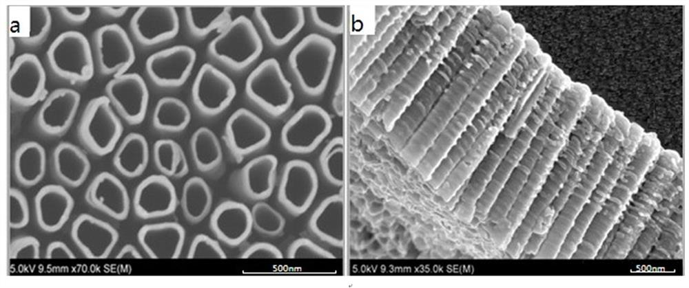 IrO2 nano-coating anode with TiN nanotube intermediate layer
