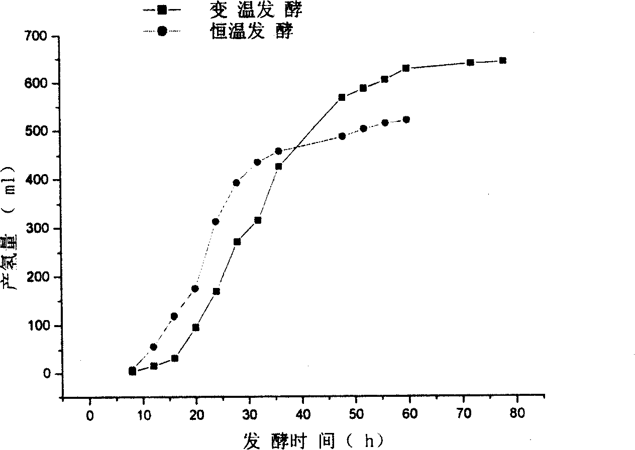 Method for steam-exploded straw hydrogen production by controlling temperature of fermentation process