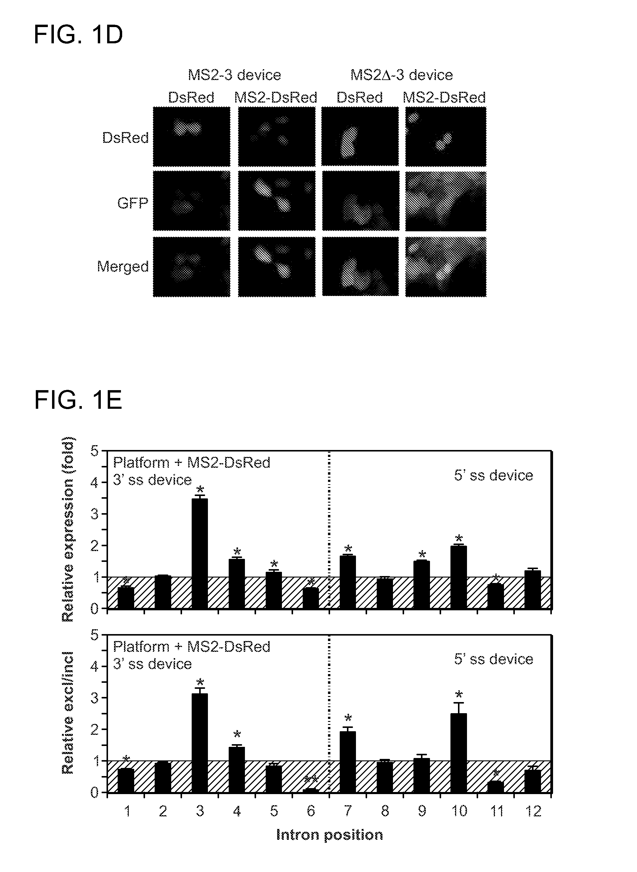 Protein-Responsive RNA Control Devices and Uses Thereof