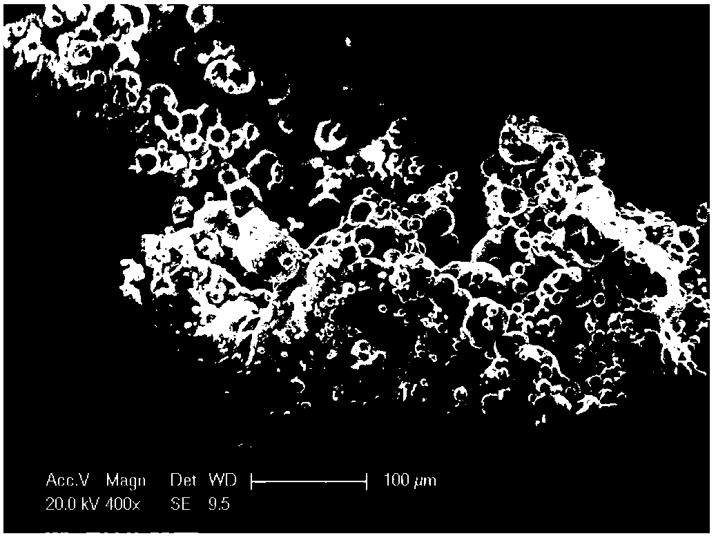 Method for modifying sandy soil and silt soil by electroosmotic microbial grouting