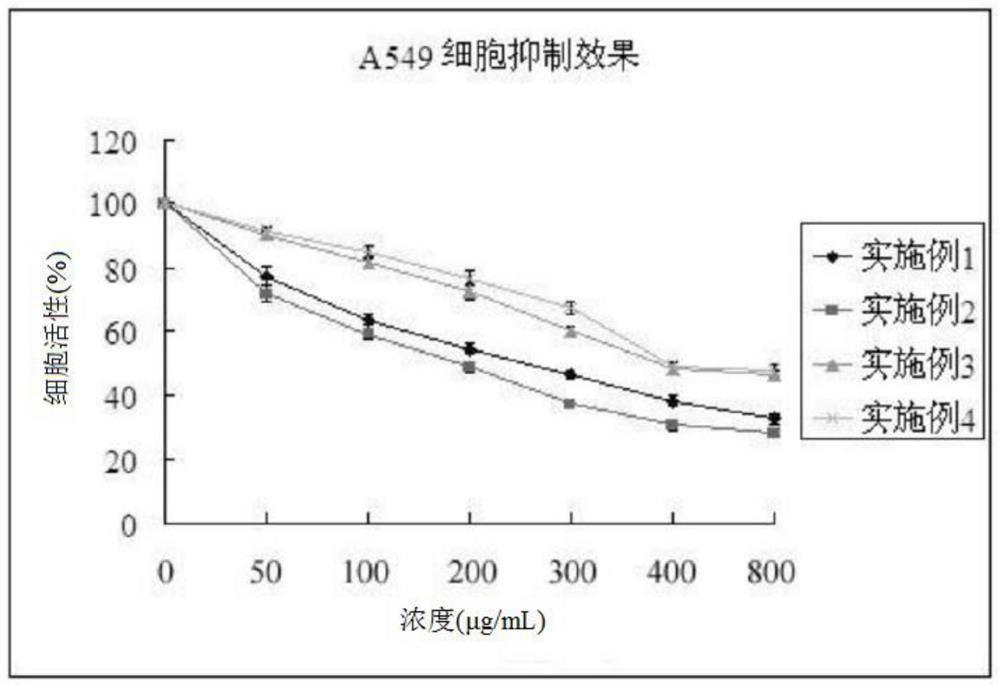 Active polysaccharide protein of Morchella, Polygonatum and Snowdrop, and preparation method and application thereof