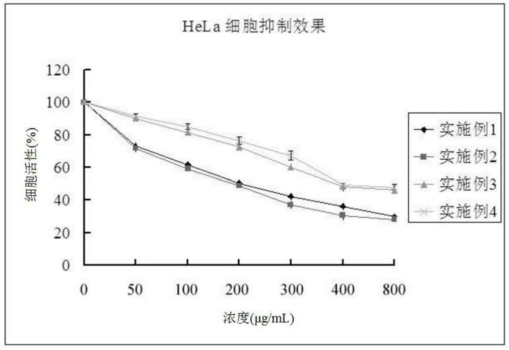 Active polysaccharide protein of Morchella, Polygonatum and Snowdrop, and preparation method and application thereof