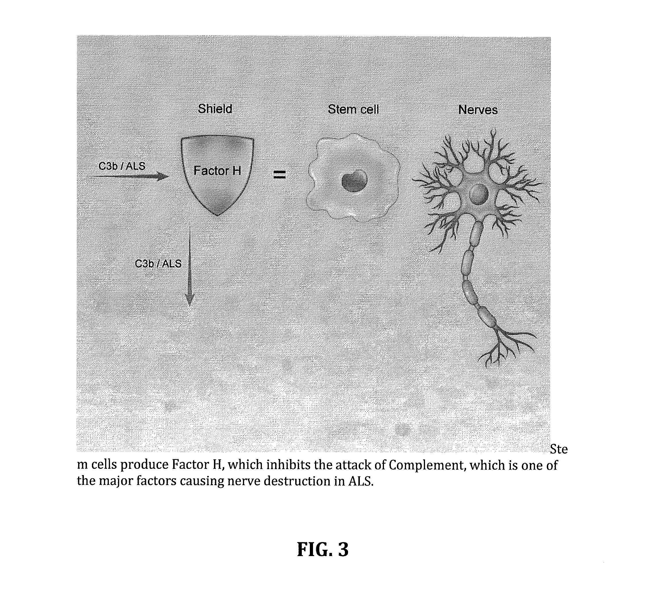 Method for treating als via the increased production of factor h