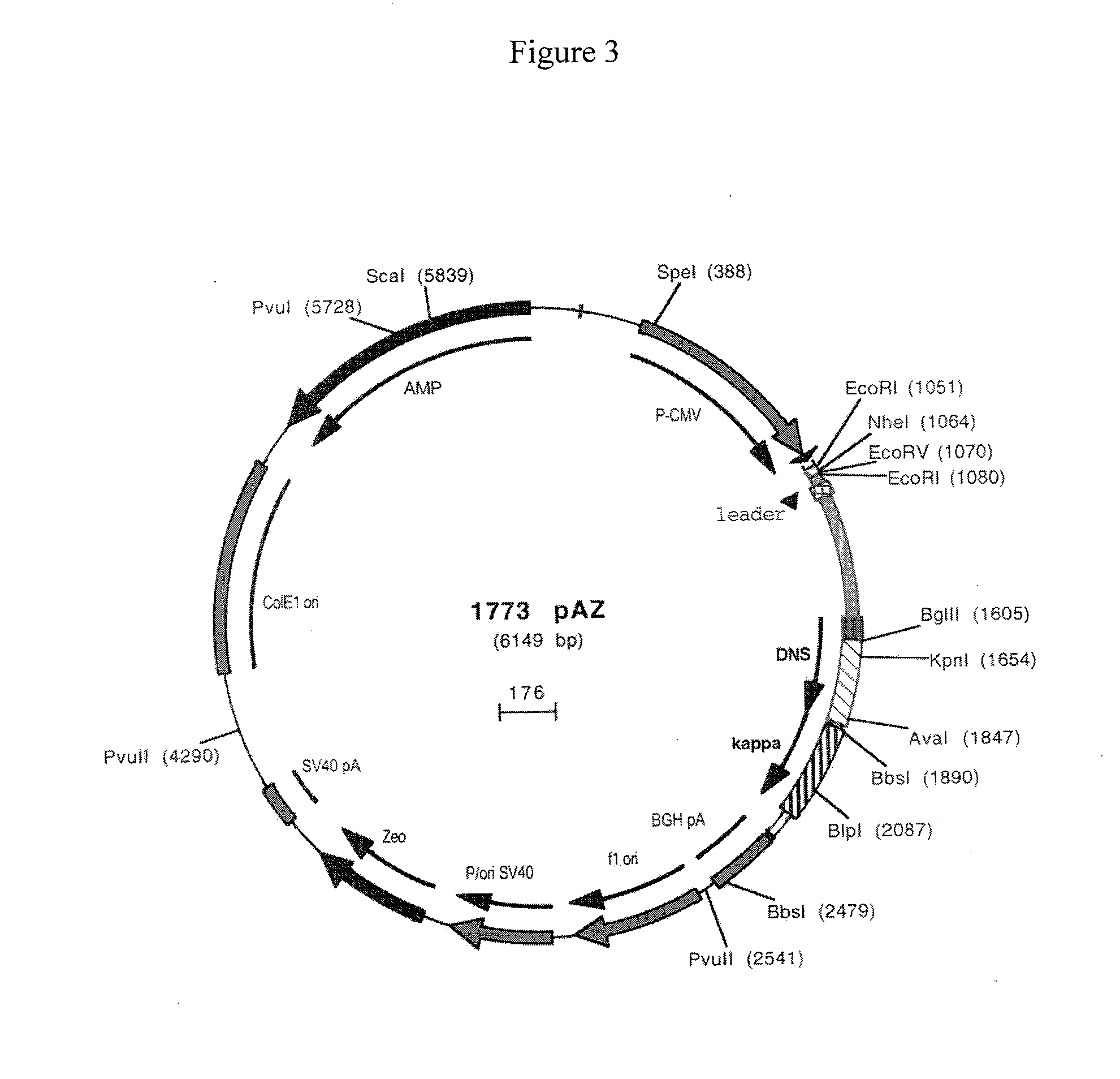 Method for targeted and sustained antiviral therapy