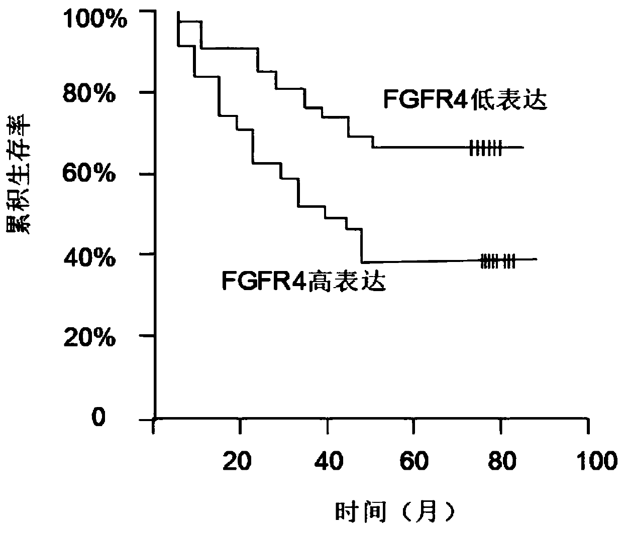 Kit for detecting metastatic potential of colorectal cancer and use method thereof