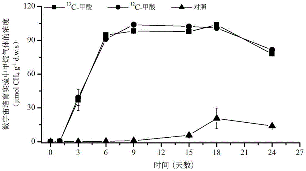 A method for in situ revealing of formic acid-utilizing methanogenic archaea in paddy fields using DNA stable isotope probes