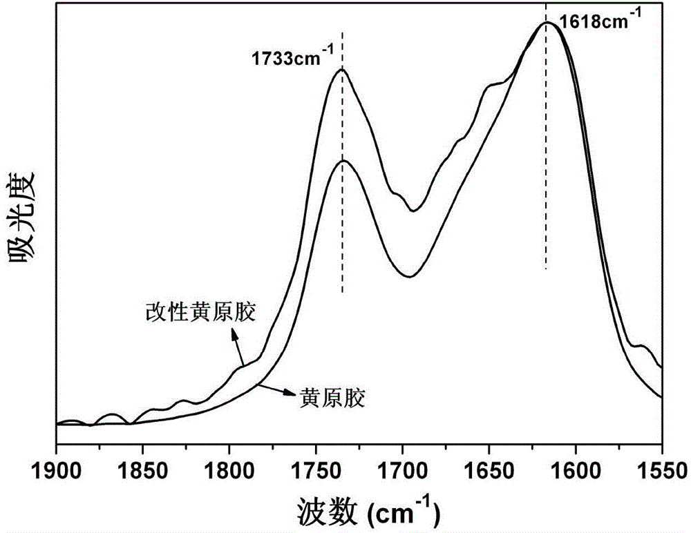 Preparation method of esterification modified xanthan gum