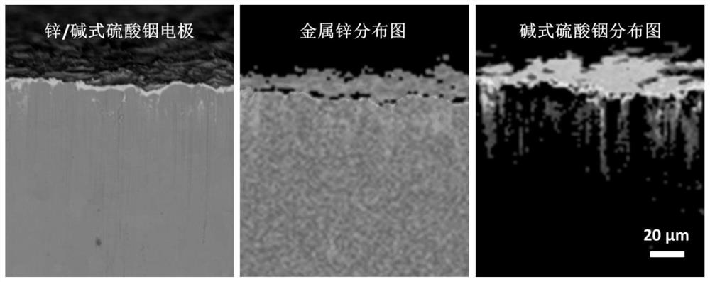 Long-cycle-life aqueous zinc secondary battery negative electrode and preparation and application thereof