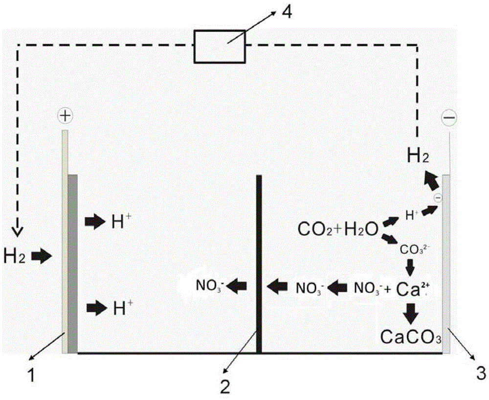 Method for membrane electrolysis of mineralized CO2 co-produced strong acid