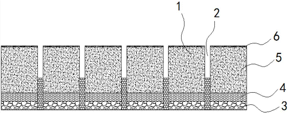 Efficient planting method of Hylocereus undatus