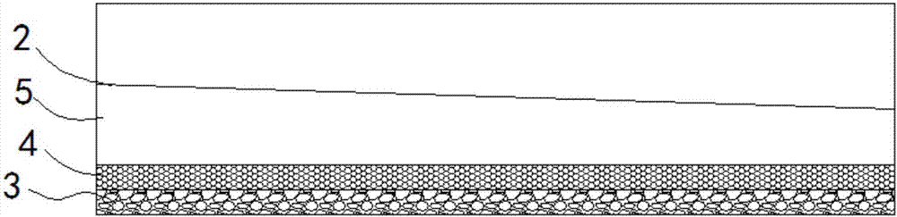 Efficient planting method of Hylocereus undatus