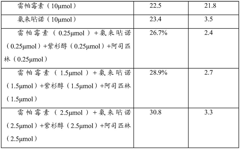 A drug support and preparation method thereof