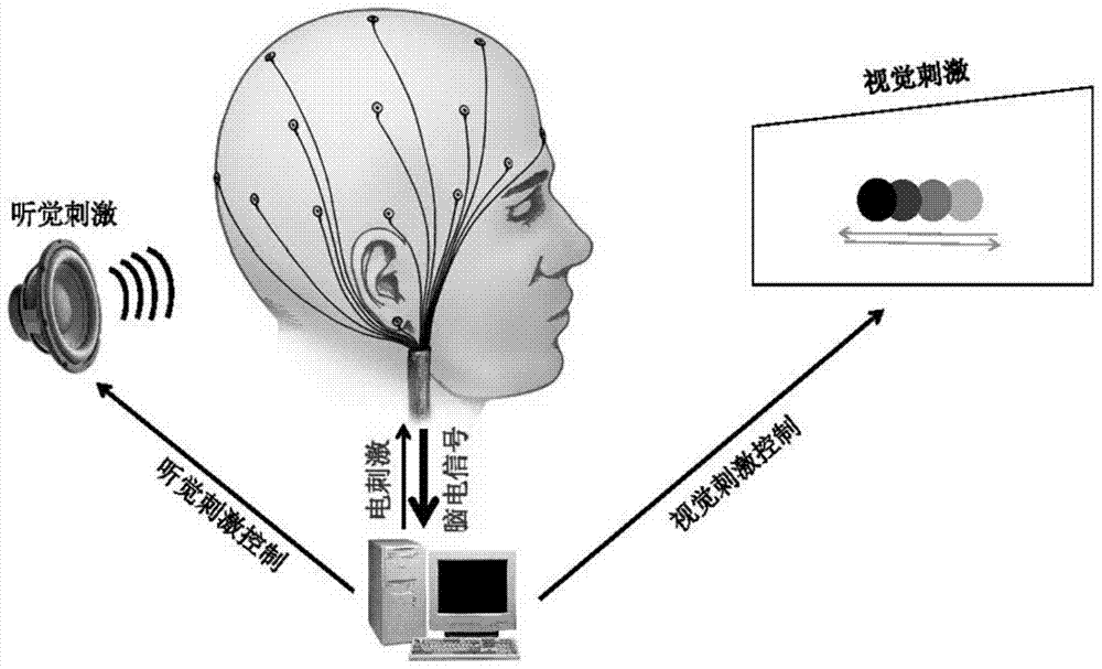 EEG co-frequency detection method, EEG co-frequency stimulation method and device