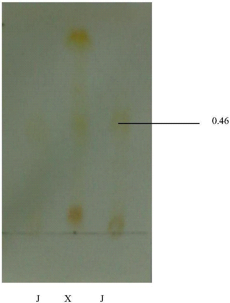 Method for producing saponins and flavonoids through wild jujube endophyte fermentation