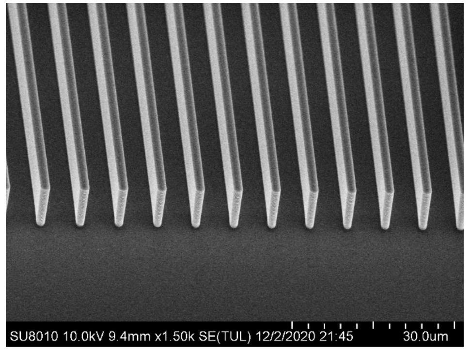 Perovskite nanowire array and preparation method thereof
