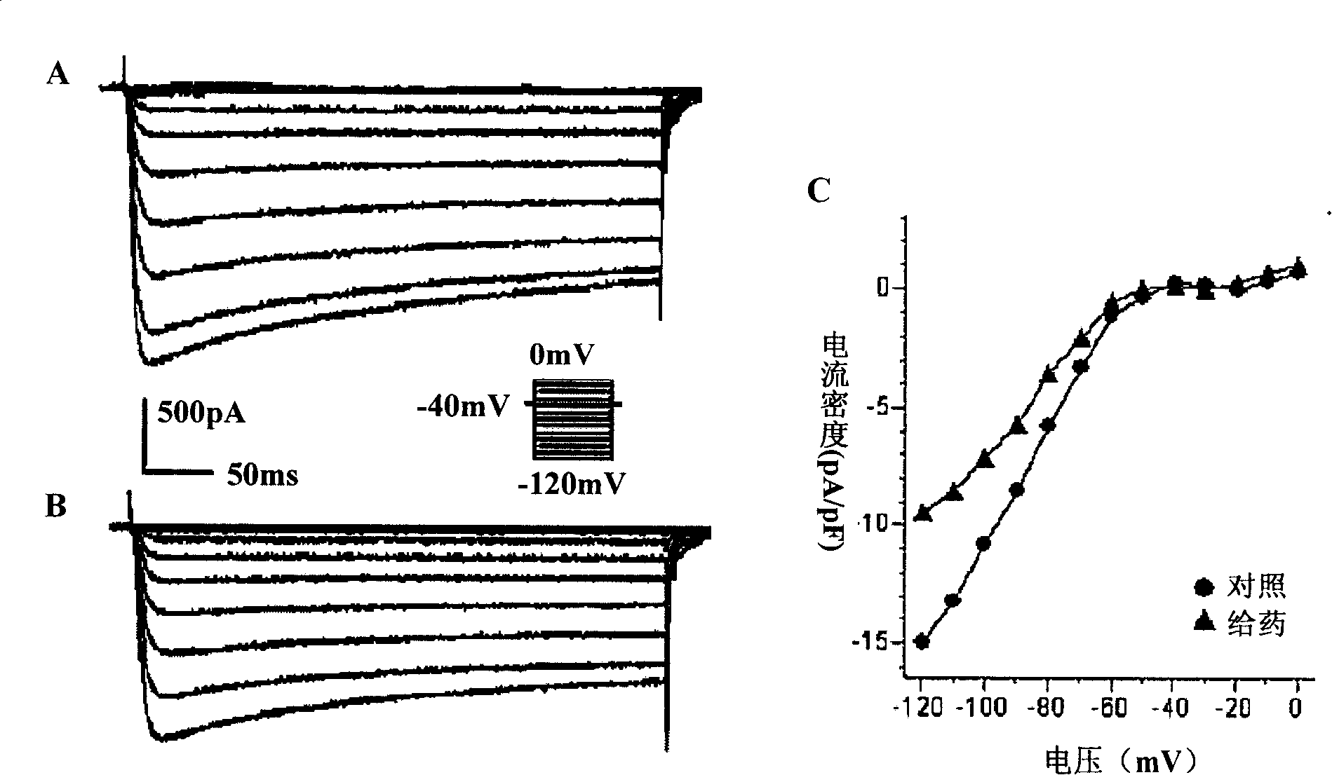 Application of Chinese medicine composition in preparing medicament for adjusting cardiac muscle cell potassium ion channel