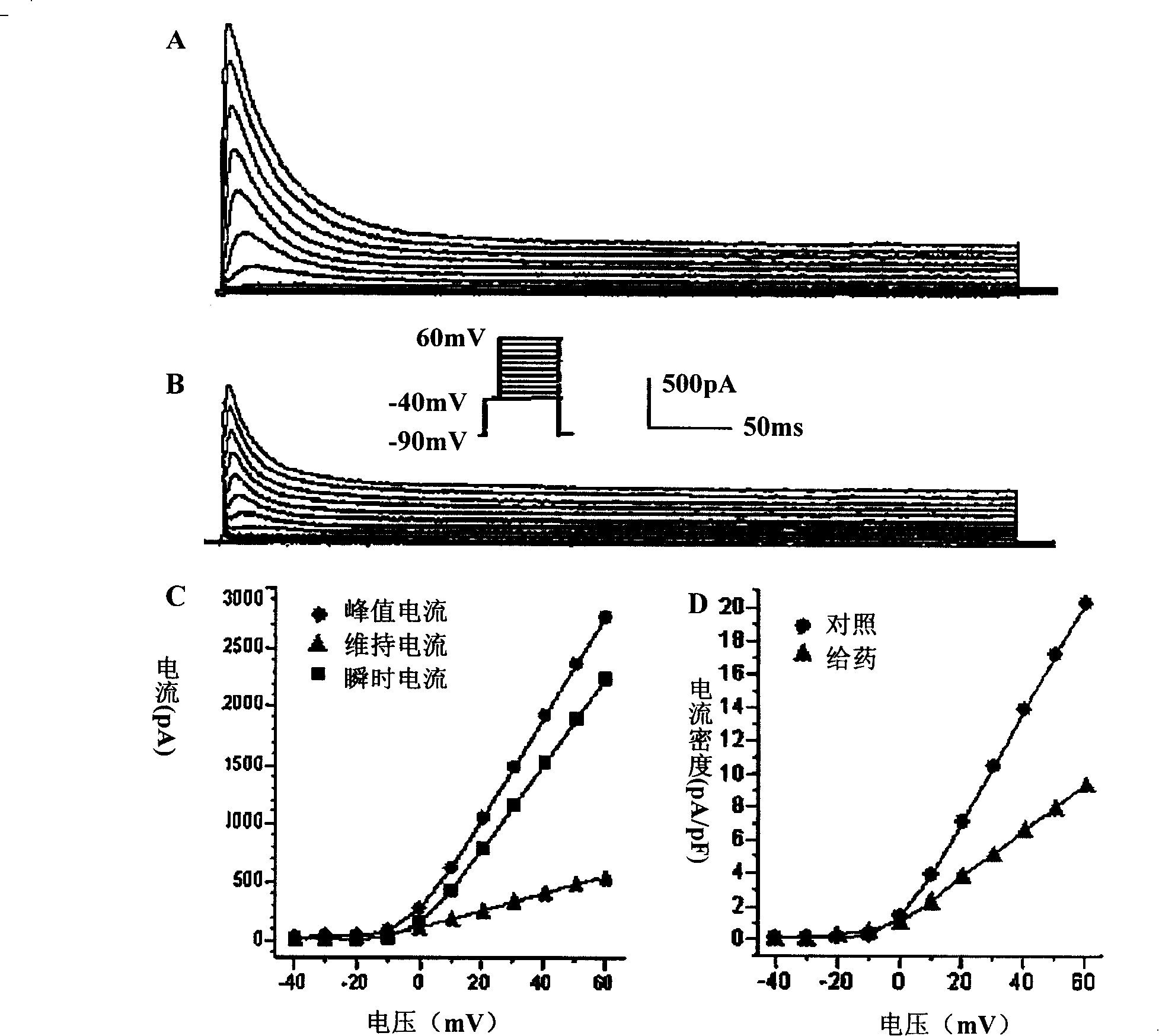 Application of Chinese medicine composition in preparing medicament for adjusting cardiac muscle cell potassium ion channel