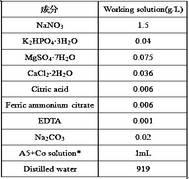 A High-yielding Starch and Oil-yielding Monostipella and Its Culture Application
