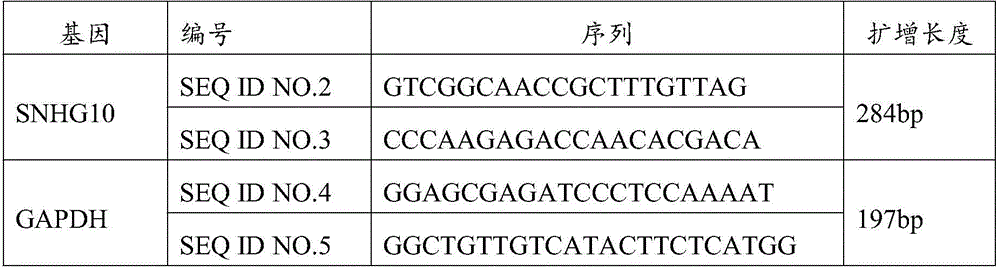 Application of SNHG10 (small nucleolar RNA host gene 10) in preparation of preparations for diagnosing prostate cancer