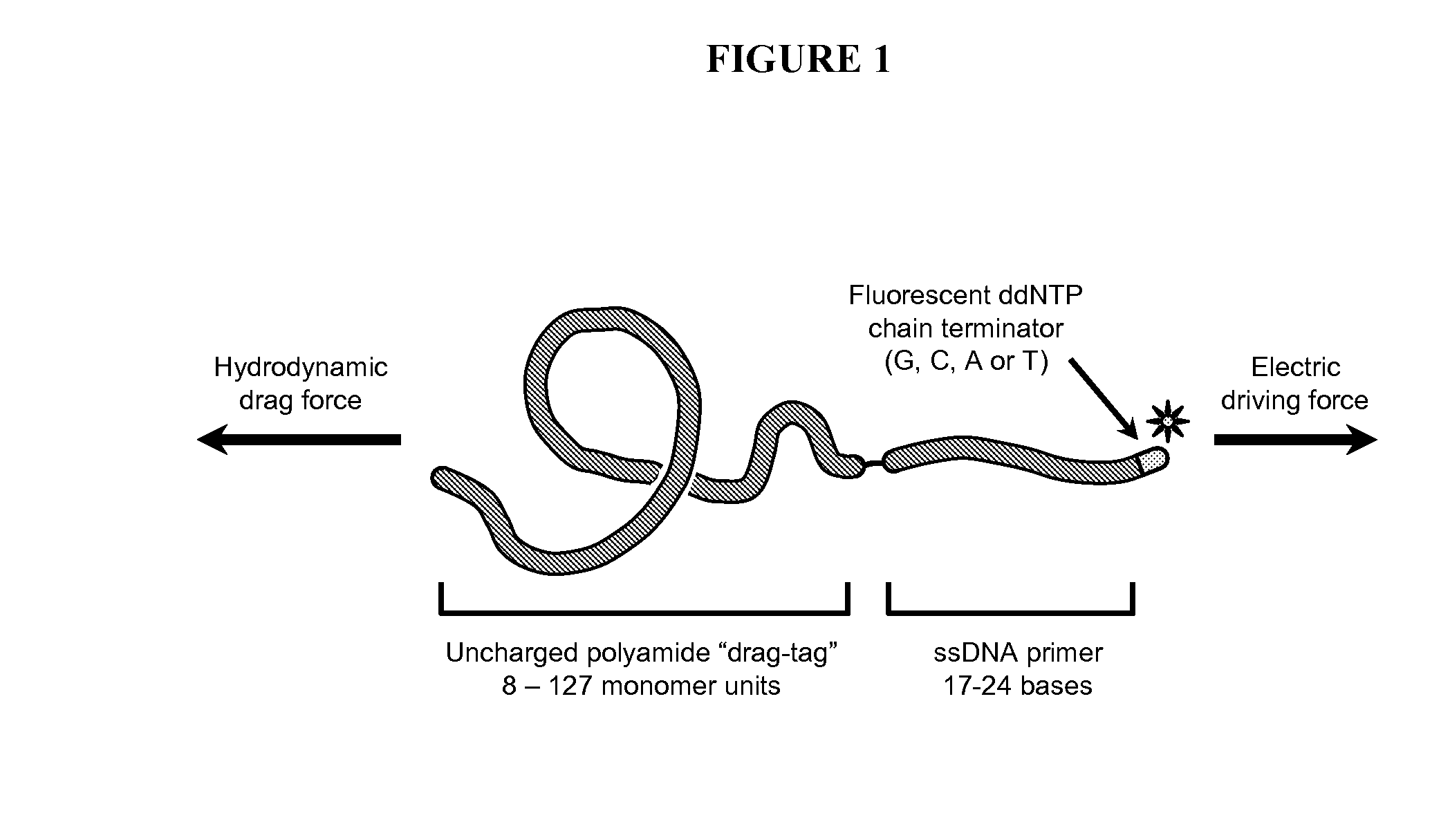 Compositions and methods for free-solution conjugate nucleic acid analysis