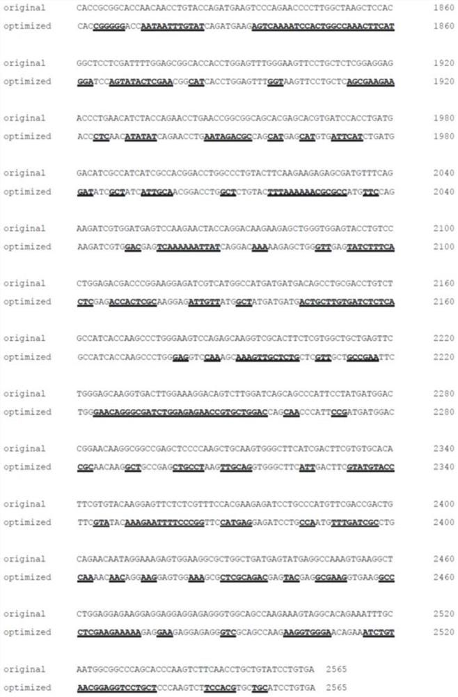 A kind of pde6b nucleotide sequence and its application