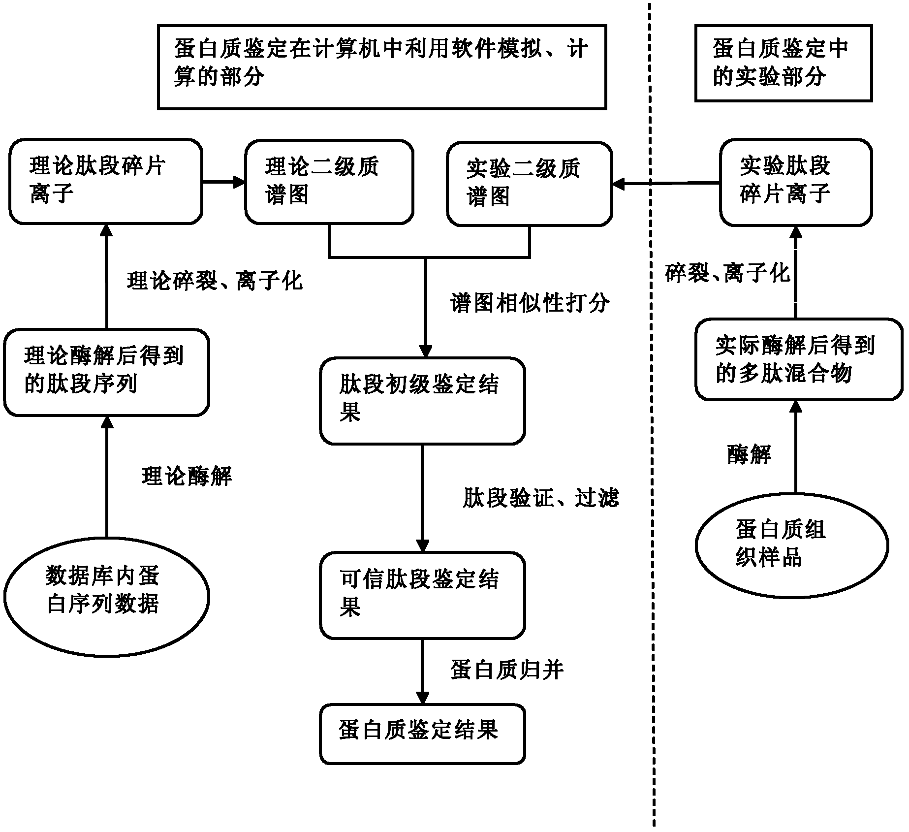 Protein identification method