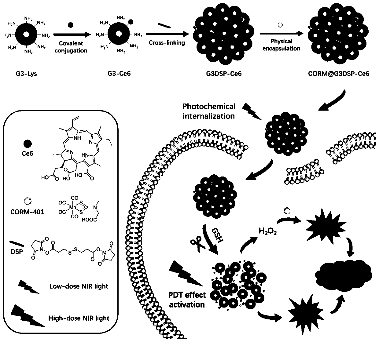 Photodynamically induced co-controllable delivery system and its construction method