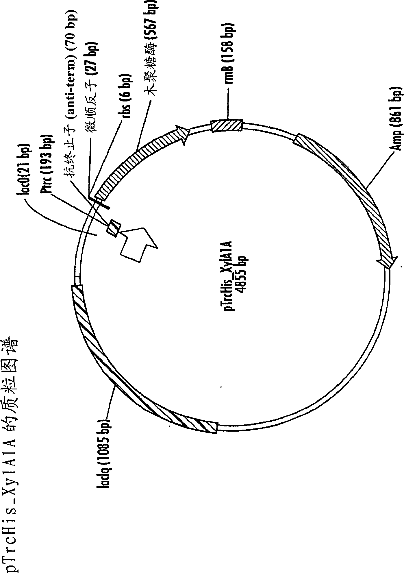 Catalytically inactive proteins and method for recovery of enzymes from plant-derived materials
