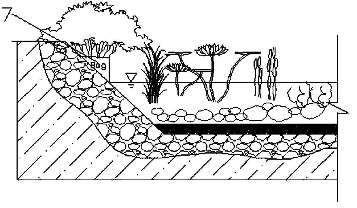 Ecological system for improving self purification capacity of riverway and construction method of ecological system