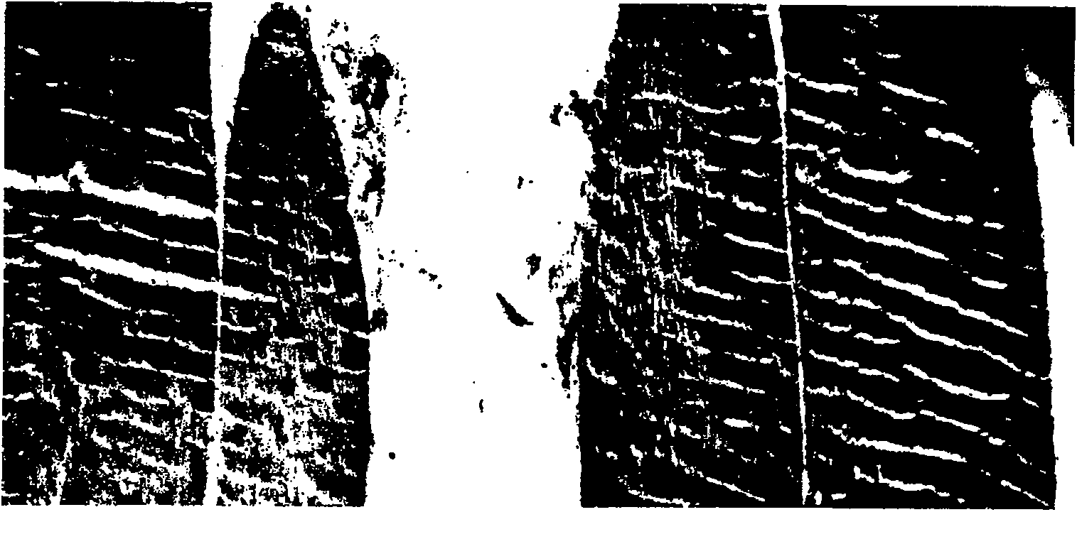 Section staining method for striped skeletal muscles