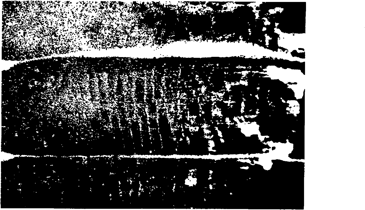 Section staining method for striped skeletal muscles