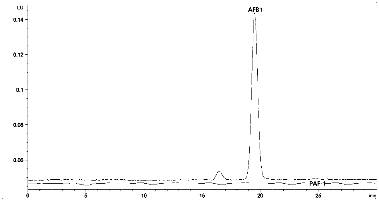 Antibiological inoculant for toxin production aspergillus flavus, and preparation method and application of antibiological inoculant