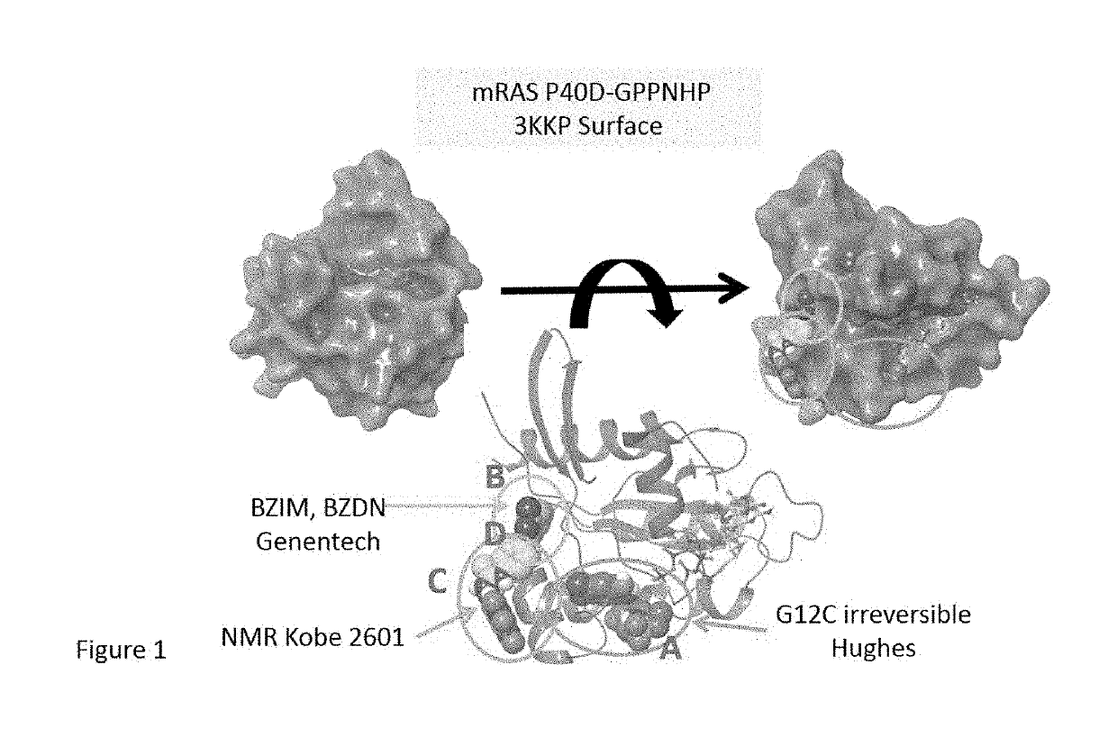 K-ras mutations and antagonists