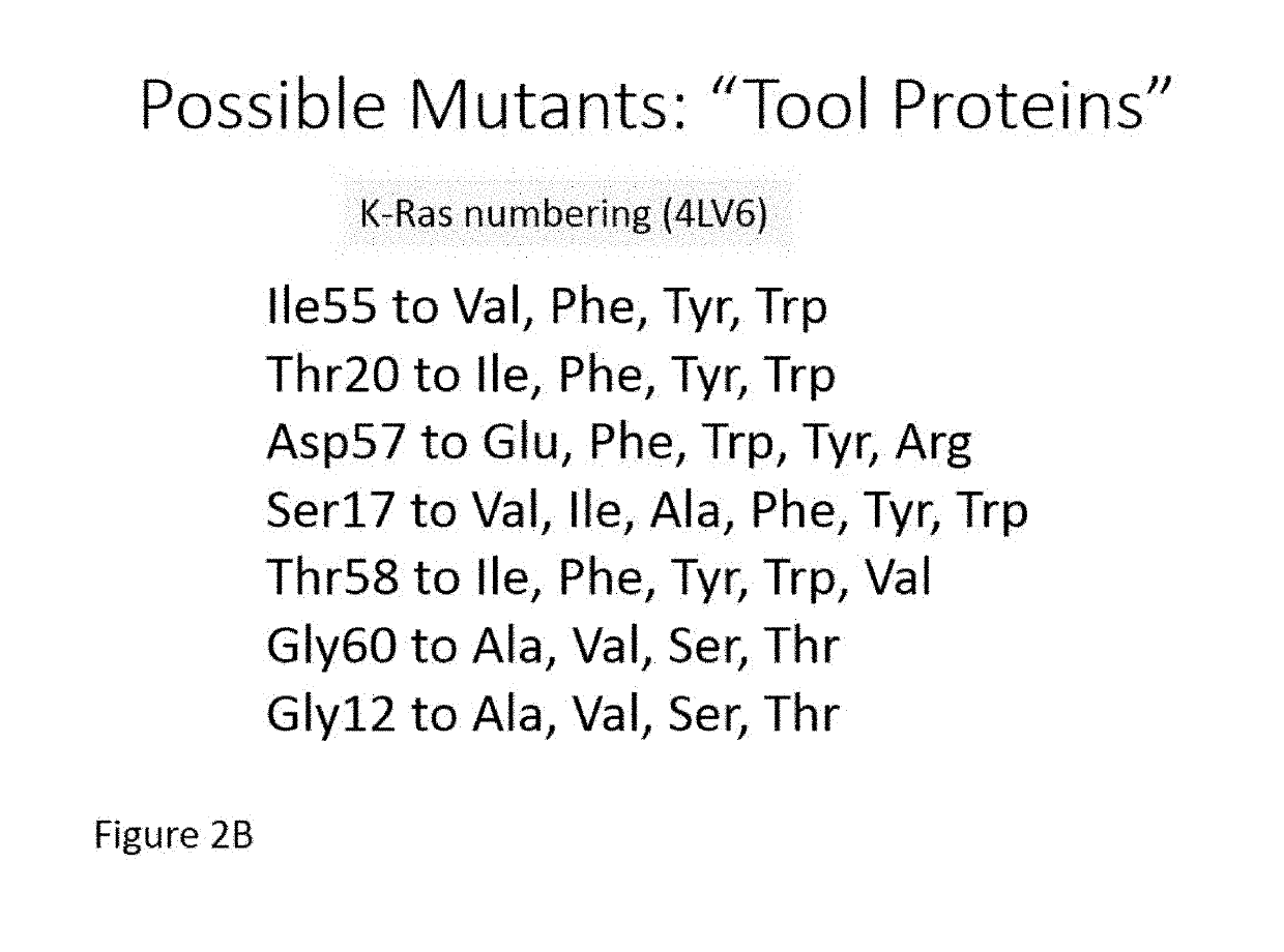 K-ras mutations and antagonists