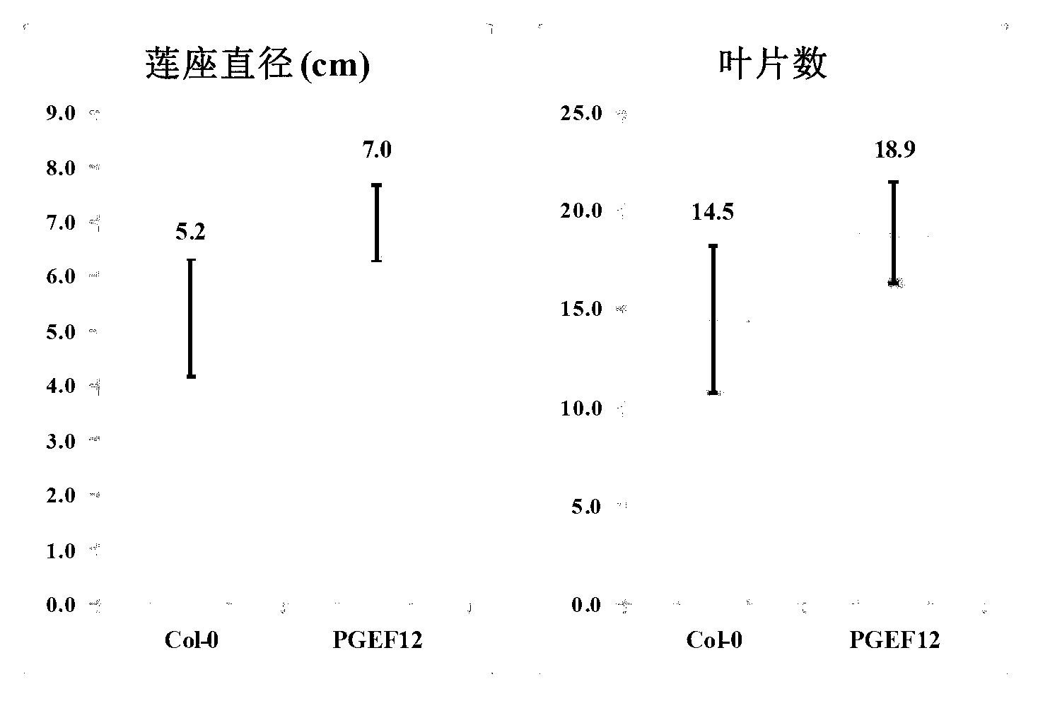 Eucalyptus PGEF12 gene as well as plant expression vector thereof, host cell thereof and application thereof