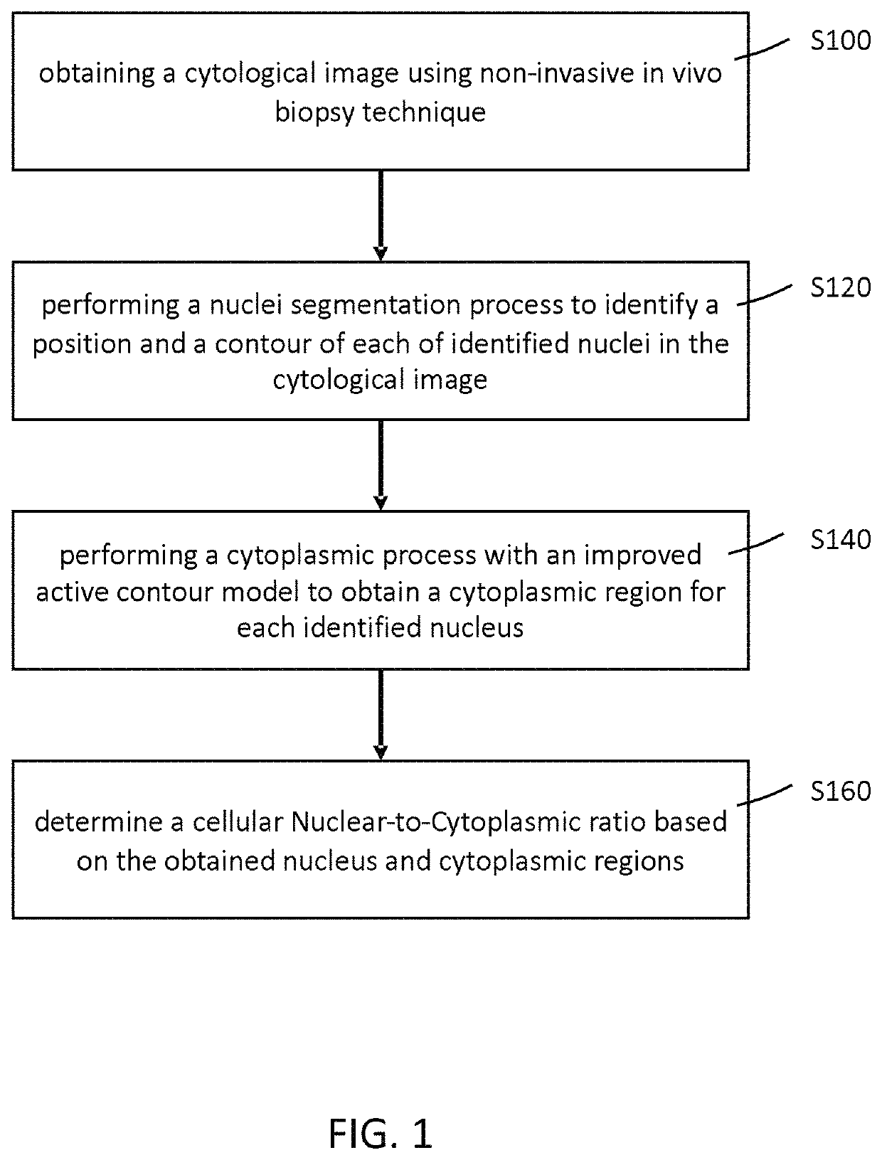 Method for determining cellular nuclear-to-cytoplasmic ratio