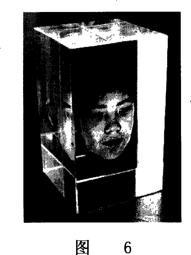 Three-dimensional portrait photograph system and realizing method thereof