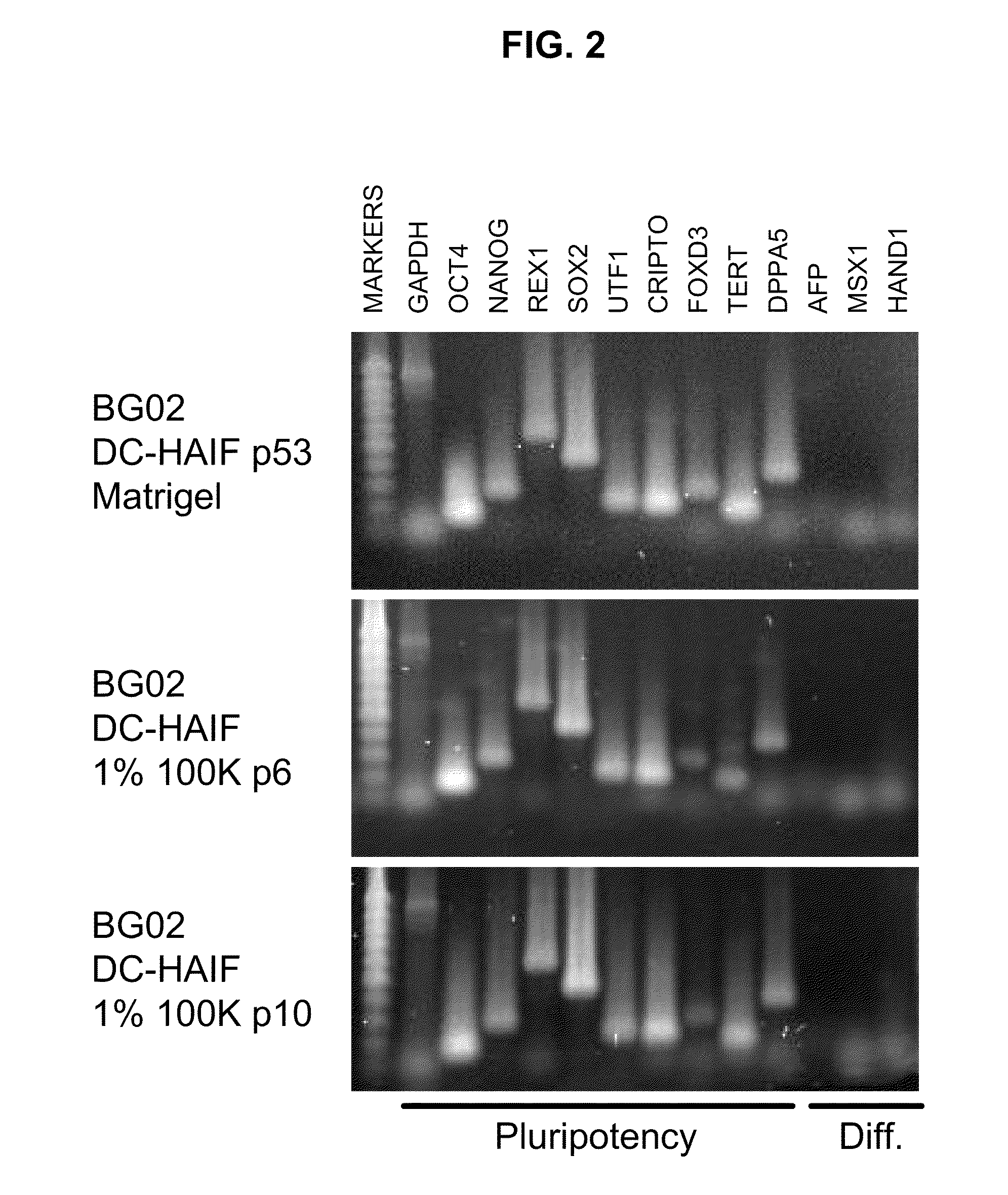 Methods and compositions for feeder-free pluripotent stem cell media containing human serum