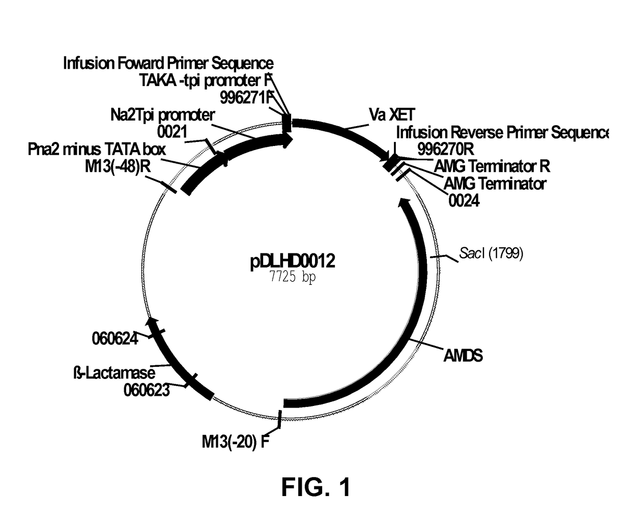 Compositions And Methods For Improving Post-Harvest Properties Of Agricultural Crops