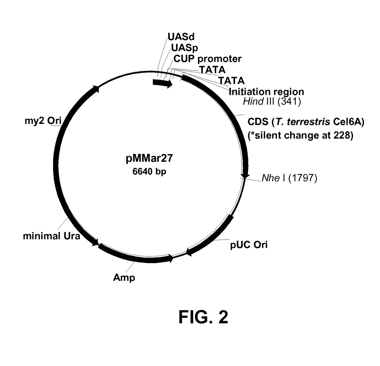 Compositions And Methods For Improving Post-Harvest Properties Of Agricultural Crops