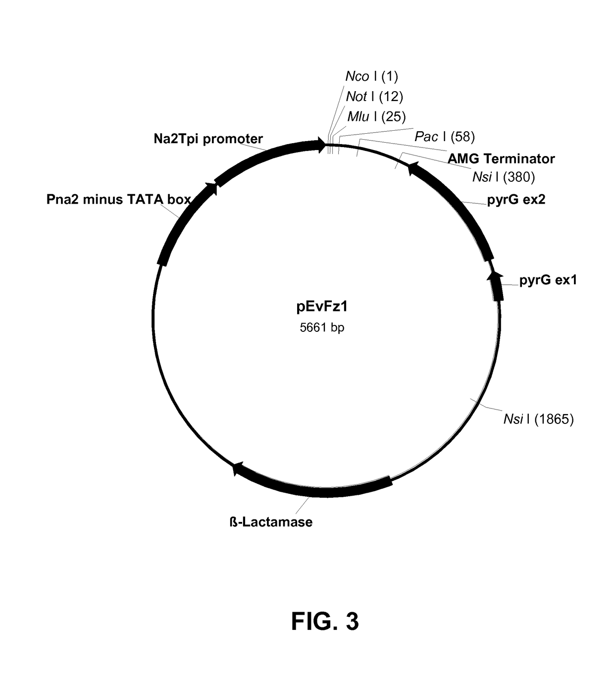 Compositions And Methods For Improving Post-Harvest Properties Of Agricultural Crops