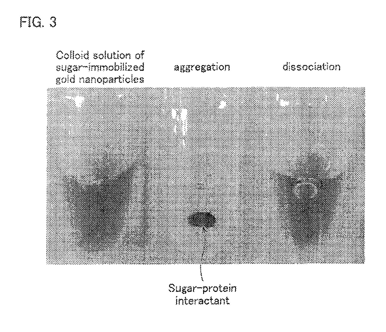 Sugar-immobilized metal nanoparticle, method for measuring sugar-protein interaction using the same and method for recovering protein from sugar-protein interactant