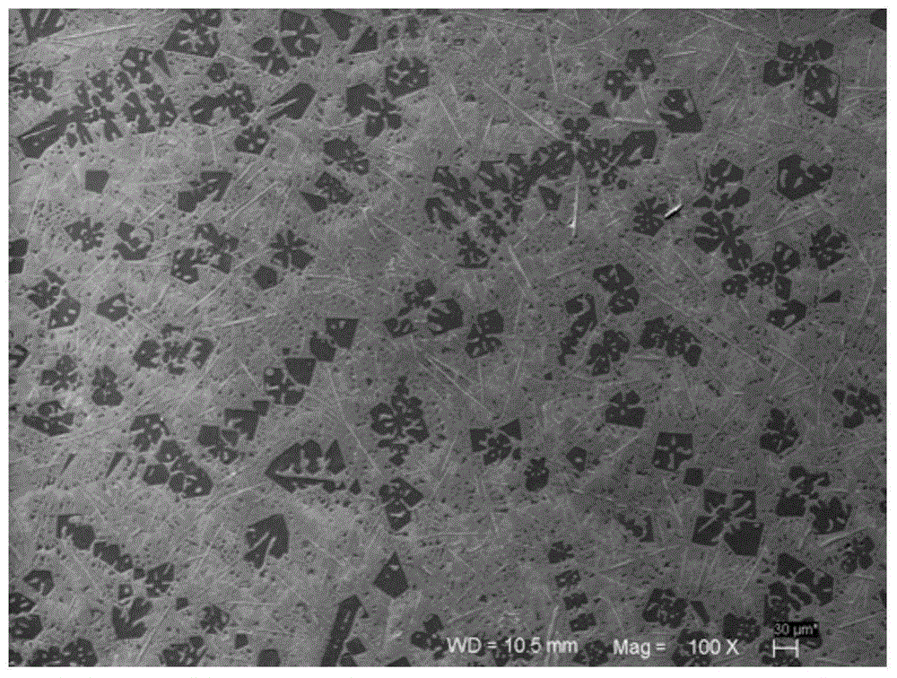 a spoiled mg  <sub>2</sub> Composite Treatment Method for Microstructure of Si/Fe-Rich Aluminum Matrix Composites