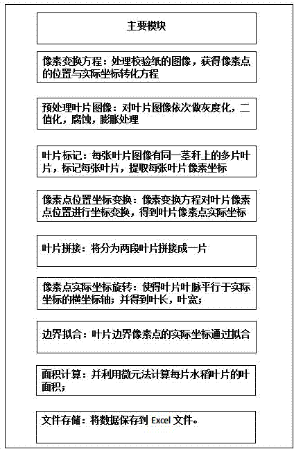 Rice leaf shape acquisition device and rice leaf shape parameter extraction method