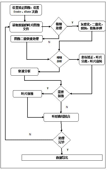 Rice leaf shape acquisition device and rice leaf shape parameter extraction method