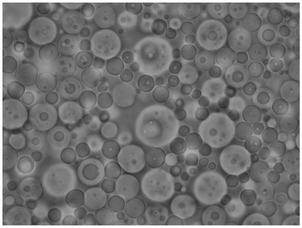 Preparation method and application of porous organic silicon microsphere