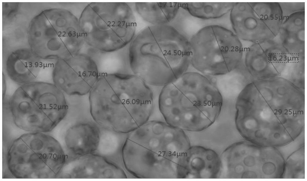 Preparation method and application of porous organic silicon microsphere
